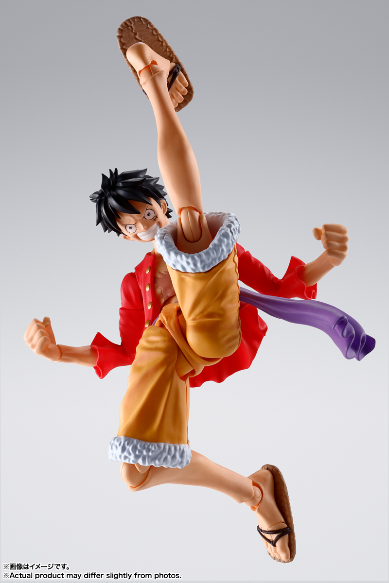 05SHF-LUFFY-RoO_05