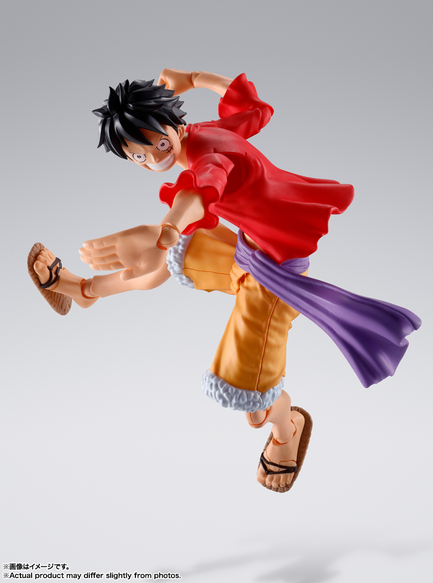 06SHF-LUFFY-RoO_06