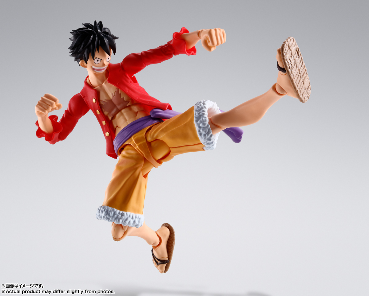 07SHF-LUFFY-RoO_07