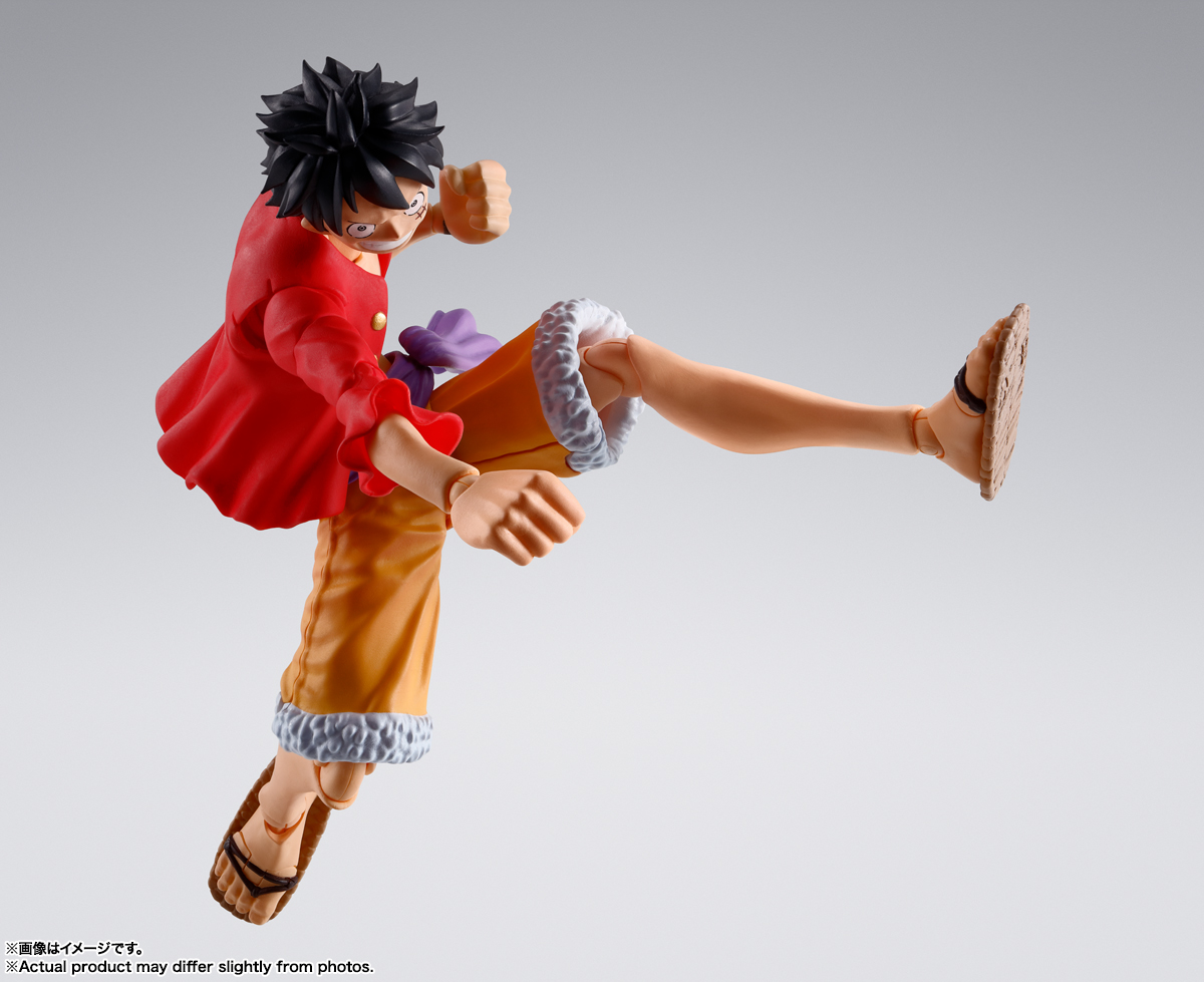 08SHF-LUFFY-RoO_08