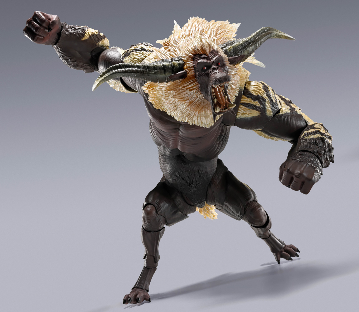 SHMA-FURIOUS-RAJANG_03