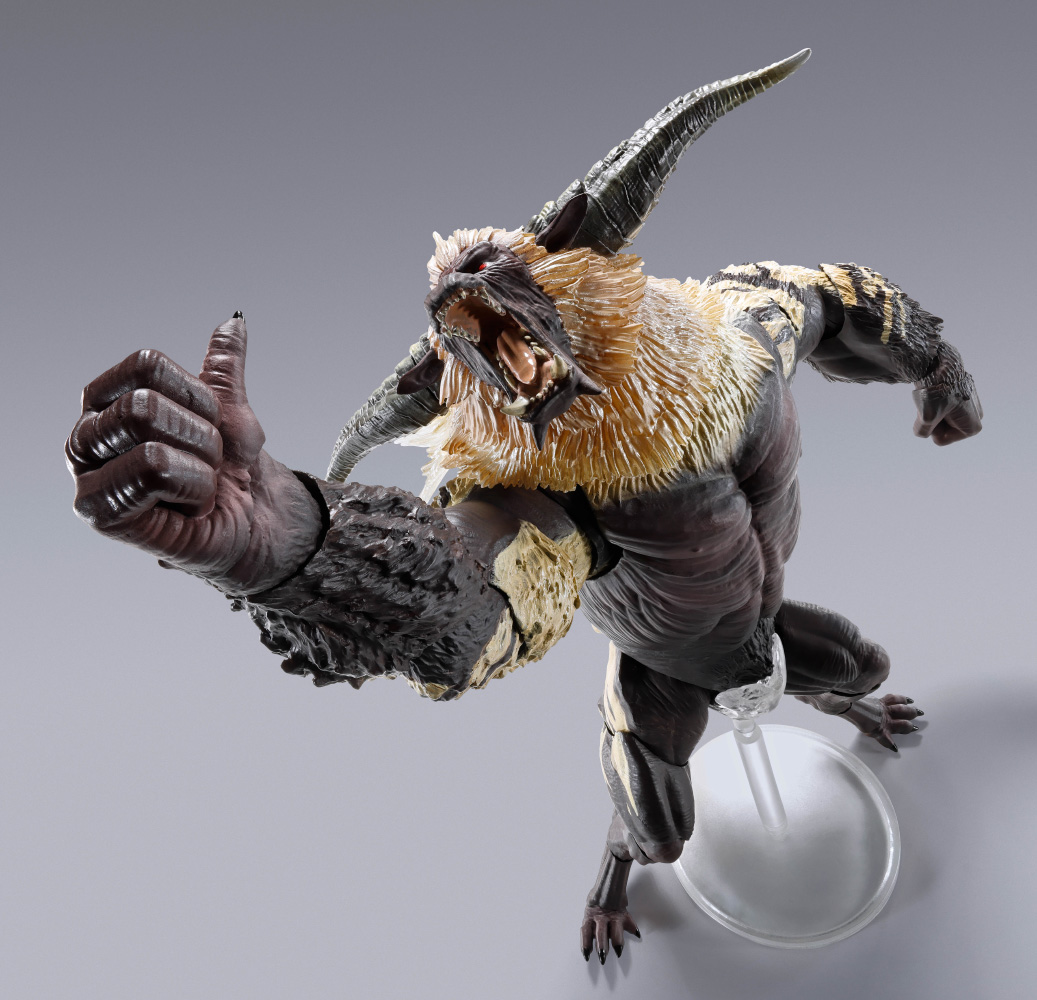 SHMA-FURIOUS-RAJANG_05