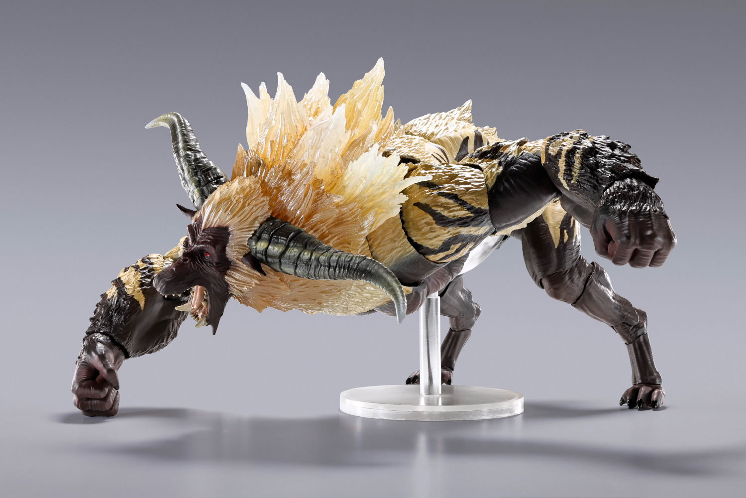 SHMA-FURIOUS-RAJANG_06