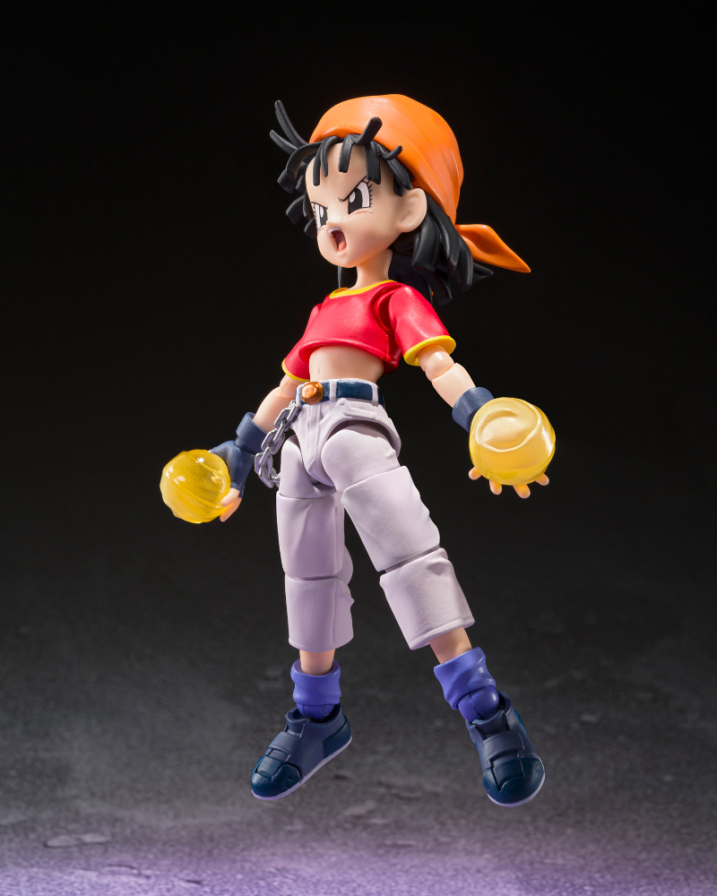 SHF-PAN-GT-04_2