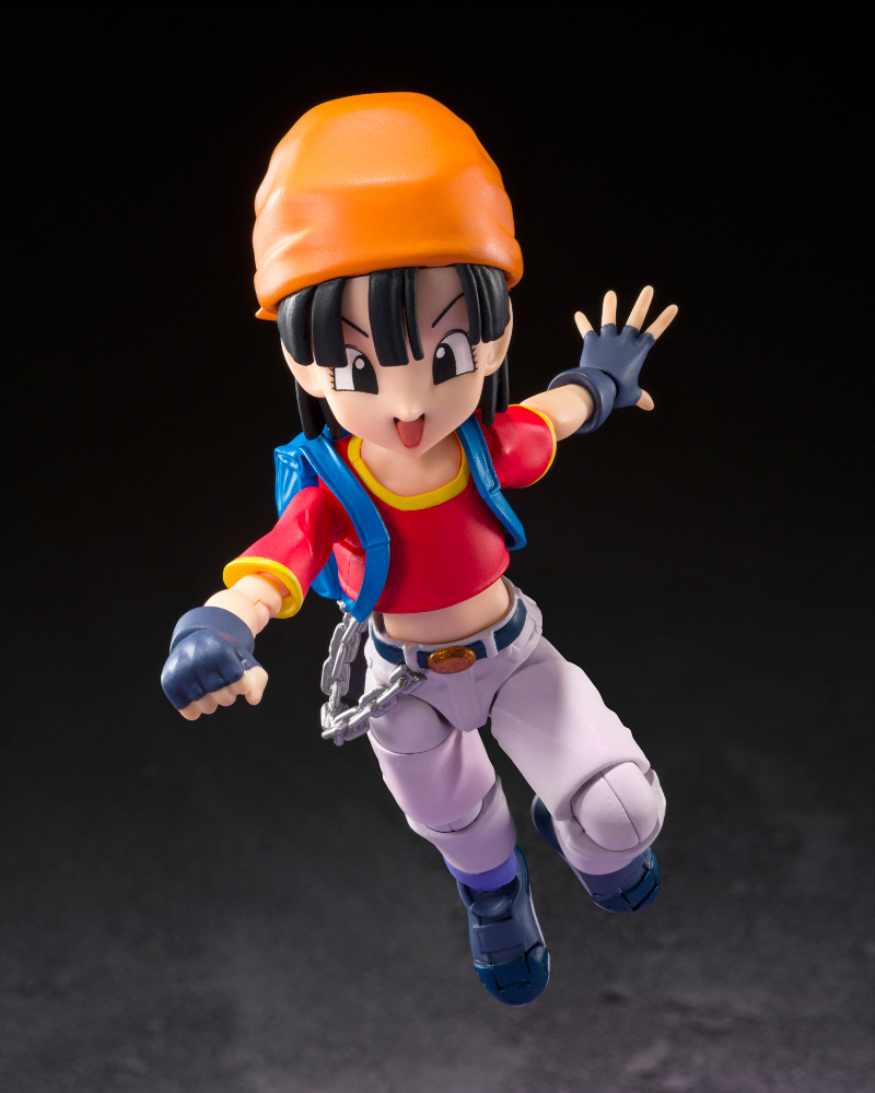 SHF-PAN-GT-06_2