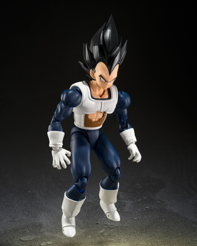 SHF-VEGETA-OLD-BATTLE-CLOTHES-05