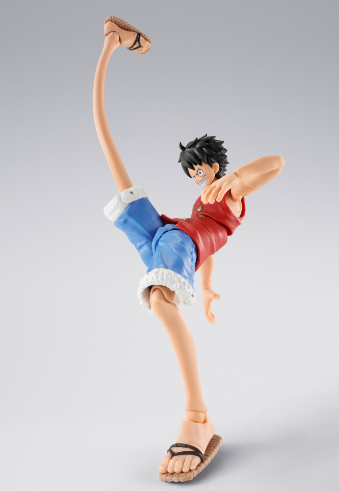 SHF-luffy-RD_option_set_01