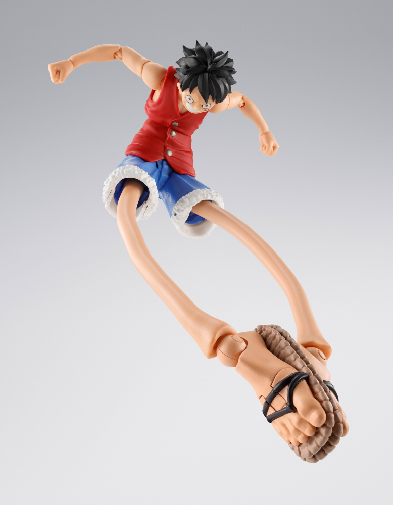 SHF-luffy-RD_option_set_02