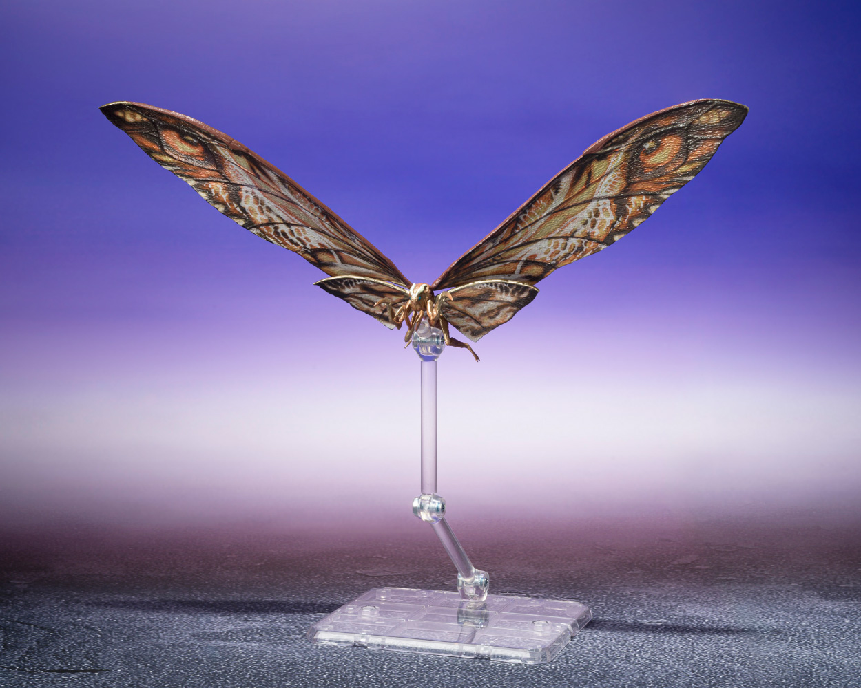 SHMA-SUKO-&-MOTHRA-2024_05_jpeg