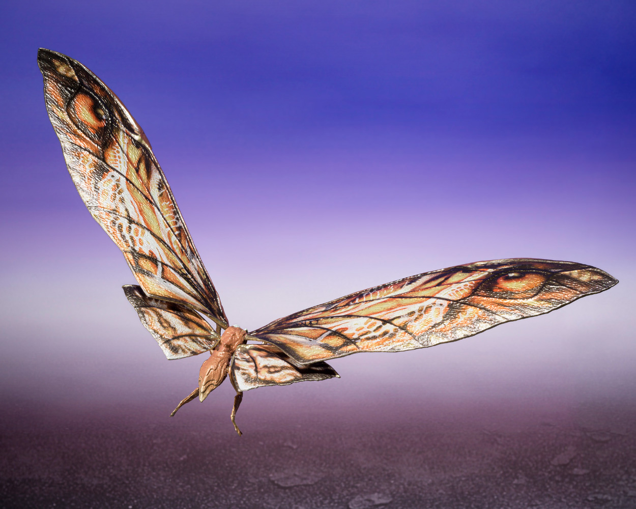 SHMA-SUKO-&-MOTHRA-2024_06_jpeg