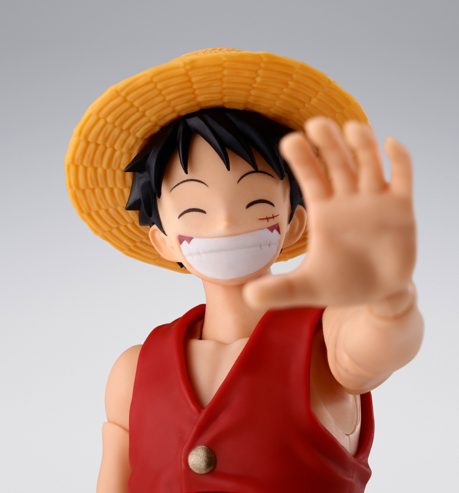 SHF-SHANKS&LUFFY(CH)_08