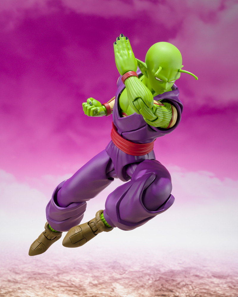SHF-Piccolo-R-DAIMA-06
