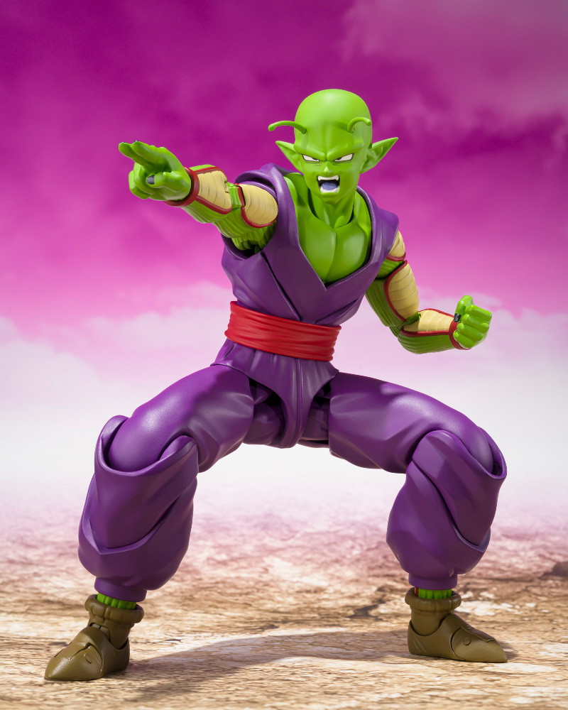 SHF-Piccolo-R-DAIMA-07