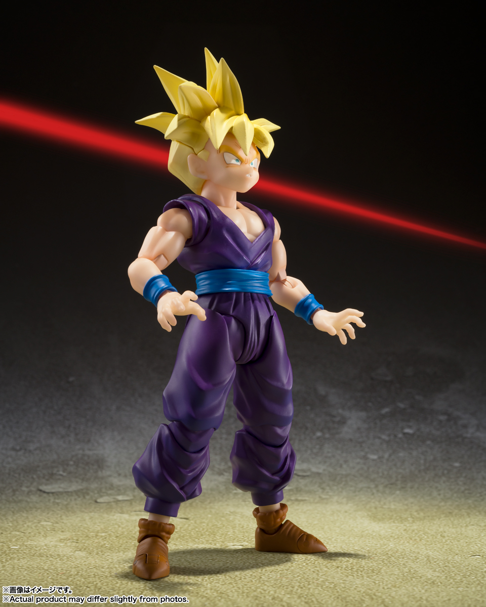item_0000014672_qn5JH2IR_04 Gohan Warrior Surpassed Goku